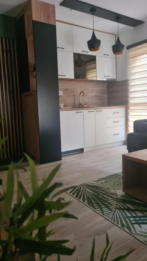 Apartmani Part Divčibare Kültér fotó